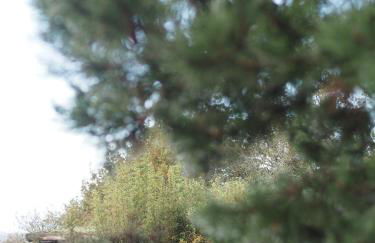 Carrière Sauvage - Photo 47