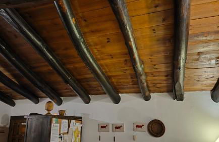 La Casa Gran - Foto 136