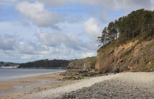 Amroth Holiday home with Sea views - Foto 18