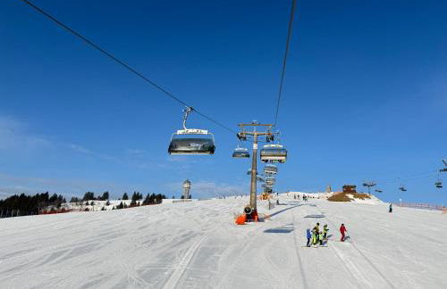 Mitten auf dem Feldberg Panorama Apartment Bergglück - Foto 33