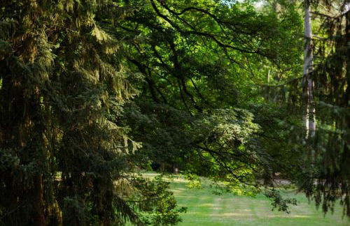 Loft-Apartment - Bestlage am Kurpark mit Terrasse - kostenloses Parken - Küche - Netflix - Waschmaschine - Foto 65