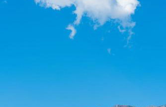 Olive Garden Villas and Apartments - Foto 40