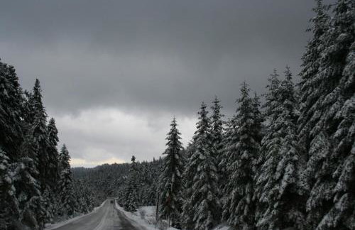 Villa Filokosta - Foto 24