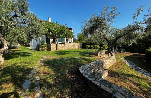 Villa Liana - Photo 12