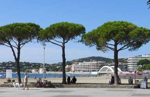 Un coin de paradis 2 ou 4 personnes refait à neuf - Foto 6