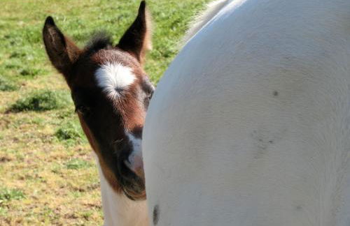 Agriturismo Cuca - Foto 25