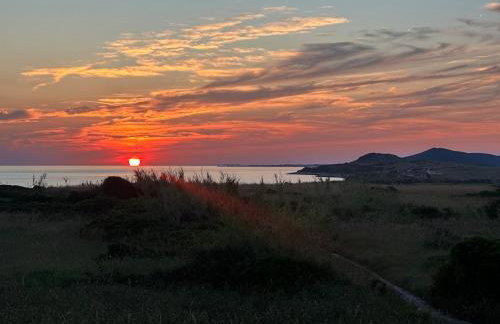 Robinson Crusoe Island Apartment - Foto 9