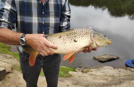 L'Atelier des hirondelles - Photo 31