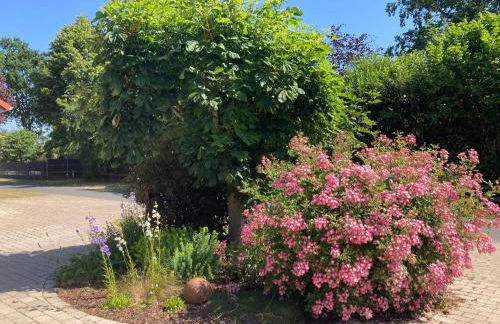 Hireu's Hus - Foto 53