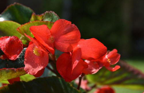 LA CASA DI CHIANNI La Pieve - Foto 18