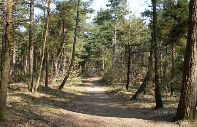 Haus Schumacher Modern Retreat - Foto 13