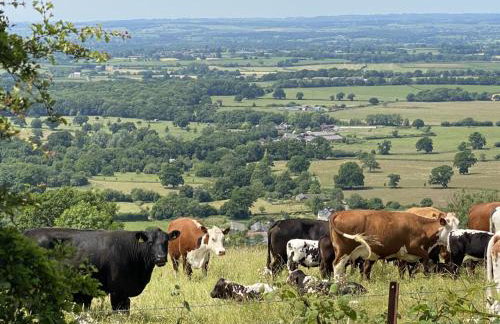 Lower Fifehead Farm - Foto 41