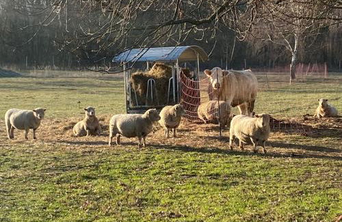 Landhaus Brigitte - Foto 72