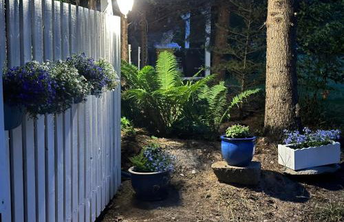 Kwiat Paproci - Foto 42