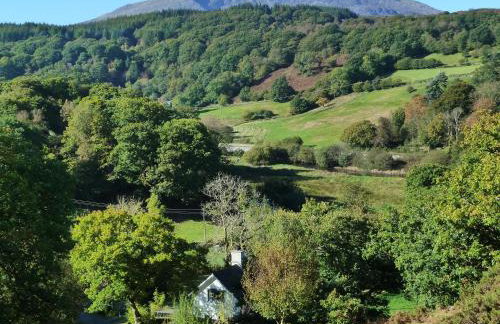 Dolmurgoch Snowdonia Cottage - Foto 2