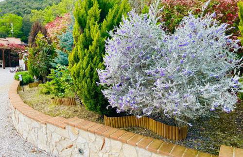 Villa SARA il giardino di Dafne - Foto 15