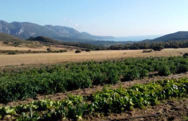 Agriturismo Il Ginepro - Foto 24