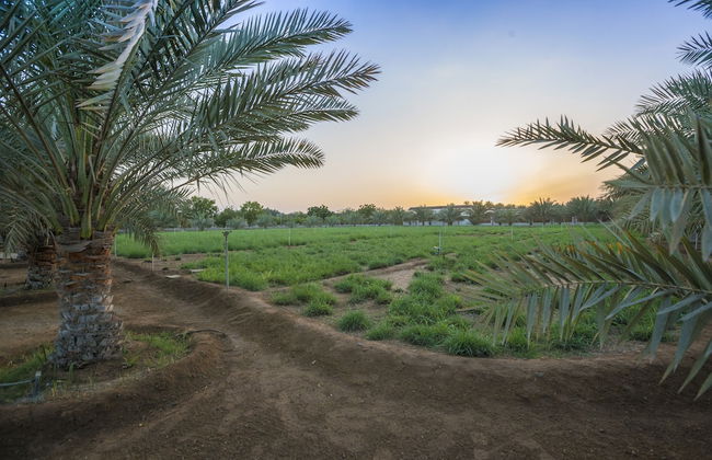 Asahalah Farm Villas - Photo 56