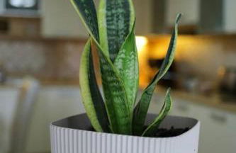 Katerina's Guest house - Foto 25