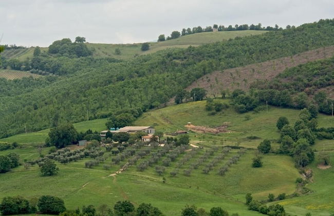 Poggio Al Vento - Photo 44