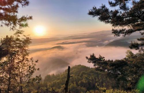 Ferienwohnung zum Sebnitzer Hirsch - Photo 24