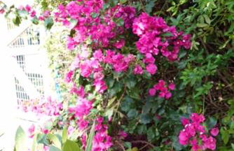 B&B Hestia's Hideaway - Foto 25