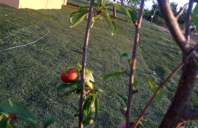 Finiki Plaza - Photo 45