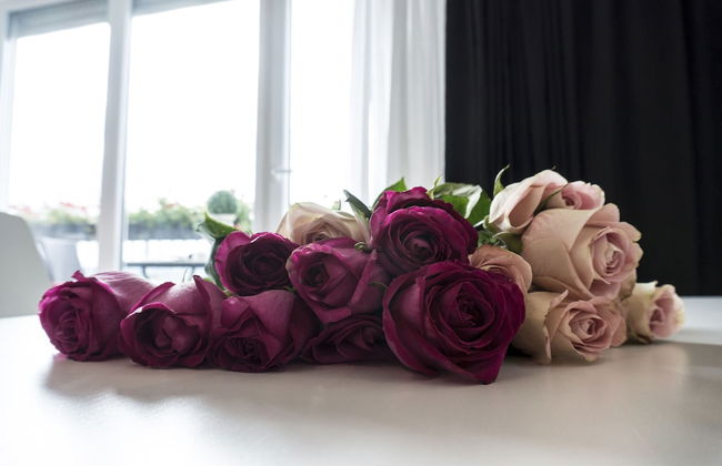 The Queen Luxury Apartments - Villa Fiorita - Photo 11