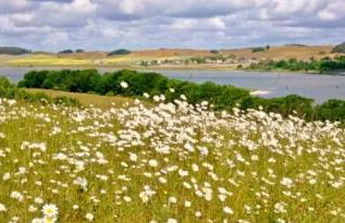 Sonnige FeWo in Klein Zicker _ nur - Foto 17