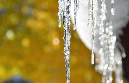 Wild Bills Cabin - Foto 24