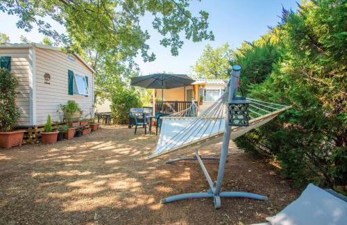 Salamandre - Foto 12