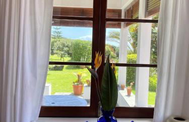 Quinta Perpetua, Casa Pico - Foto 21