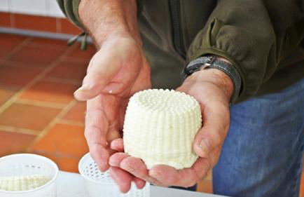 Hollweck´s Landoase - Foto 9