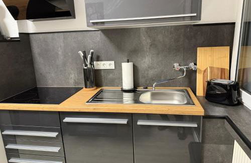 Frankfurter 21 Haus - 2 WE, 2 Küchen, 2 Bäder, 6 SZ, 19 Betten - Foto 43