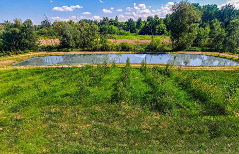 Cozy Home In Wilczyce - Foto 9