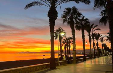 Palmeras en el mar - Foto 19