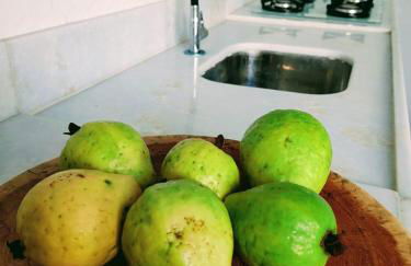 Casa Bela Vista - Foto 21