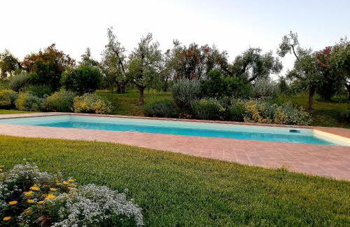 Il Casale degli Ulivi - Agriturismo - TENIMENTI LEONE - Foto 29