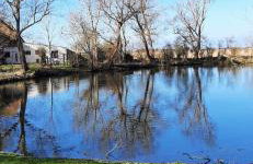 Haus-Fehmarn-am-Dorfteich-|-Wohnung-2-West - Foto 33