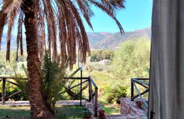 Sa Perda Arrubia - Foto 38