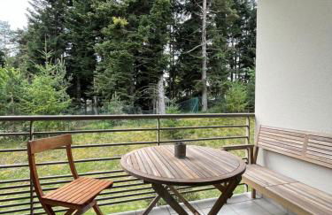 "Les Oiseaux" avec terrasse, parking, duplex - Foto 12