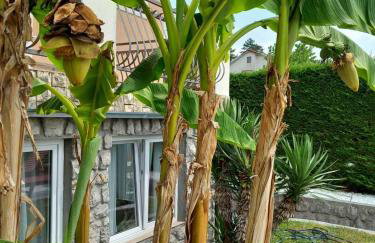 Apartman Marija - Photo 49