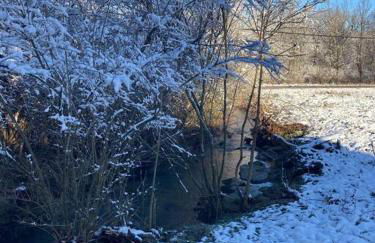 Farmhouse with game room, fire pit and creek - Foto 49