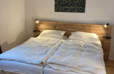 Feldberg Apartment - direkt an der Skipiste - mit Sauna - Foto 30