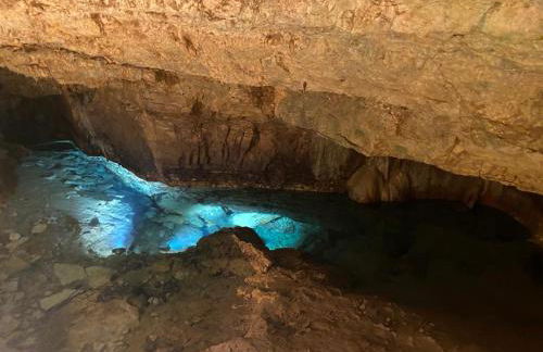 La chambrette - Foto 15