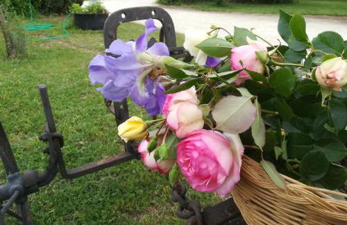 l esquisse - Foto 16