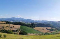 A casa di Matisse - appartamento vacanze - Foto 34