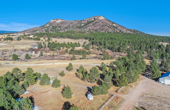 Tree Deer Blind - Foto 32