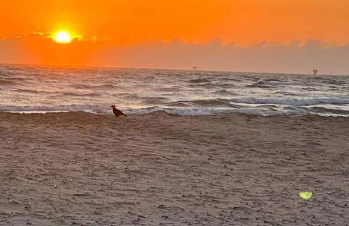 Solare - loft luxuoso de frente para o mar - Foto 11