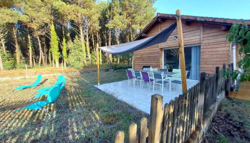 Les Gîtes du Grand Chêne - Foto 4, Garden